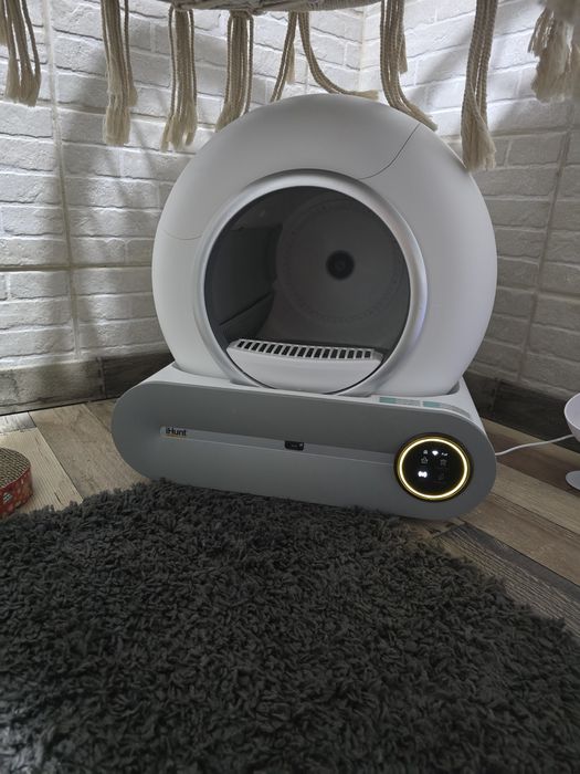 Litiera automata Ihunt