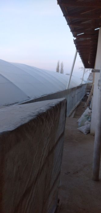 Дала ховли сотилади 8 сотих кадастири бор