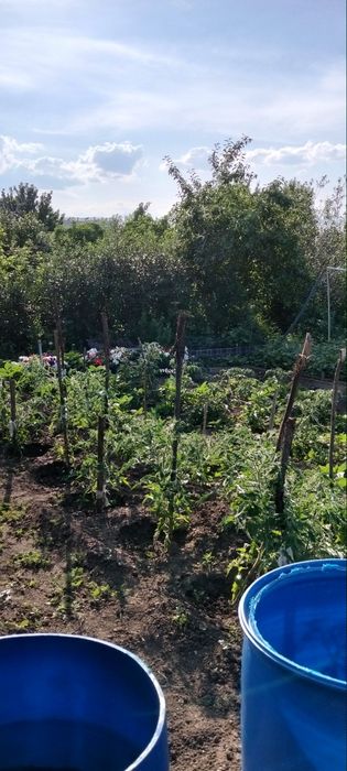 Продам дачу в городе.
