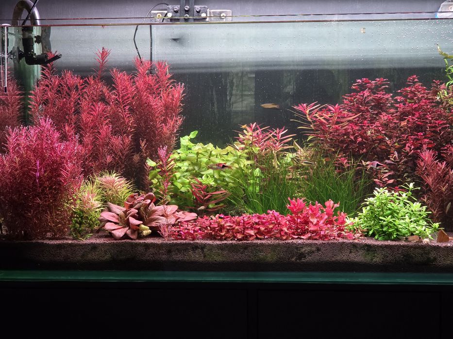 Аквариум продам..