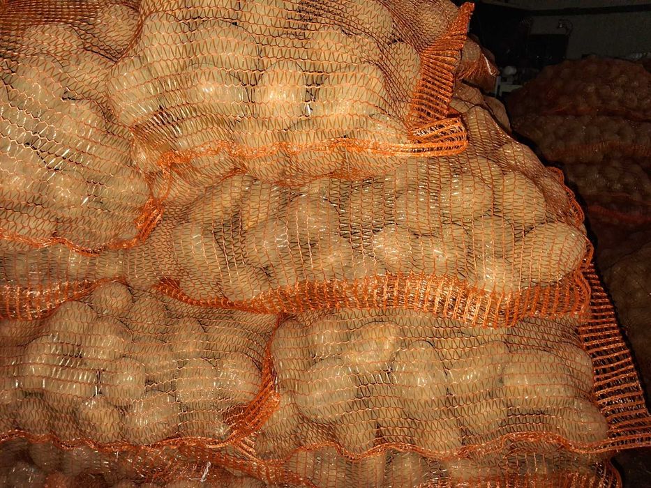 vand cartof samanta alb Jelly,rosu Bellarosa si Red fantazy