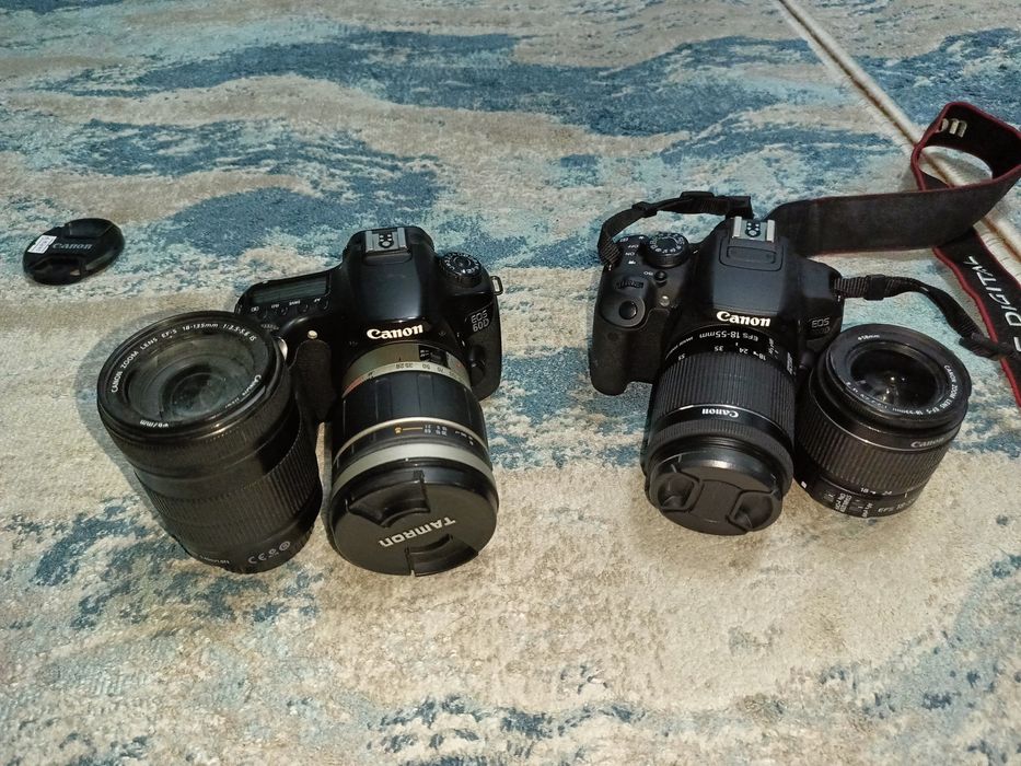 Nikon D5000 И  Nikon 3100