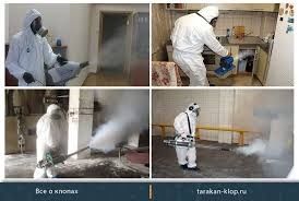 Уничтожение клопа от тараканов Дизинфексия Дезинфекция
