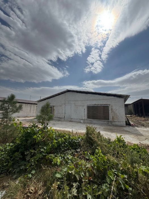 20 соток тайёр бизнес 10 соток бизнес.  10 соток ховли арендатори бор