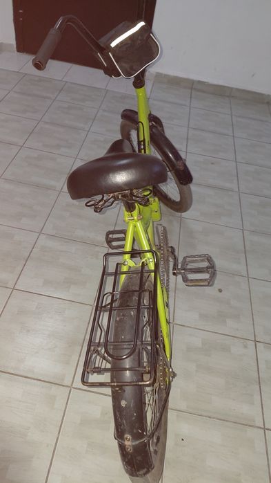 Велик Альтаир зелёный