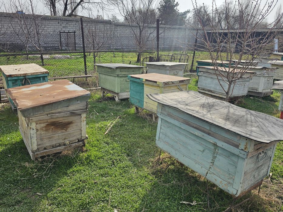 Продаются ульи б/у