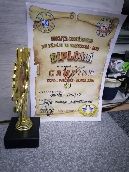 Oua rata indiene alergatoare