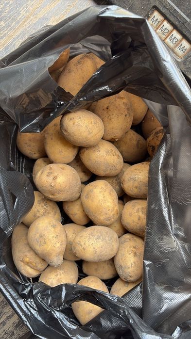 Продам картошку в мешках