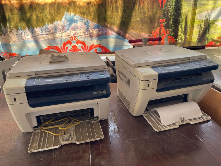 Принтер xerox 50/50
