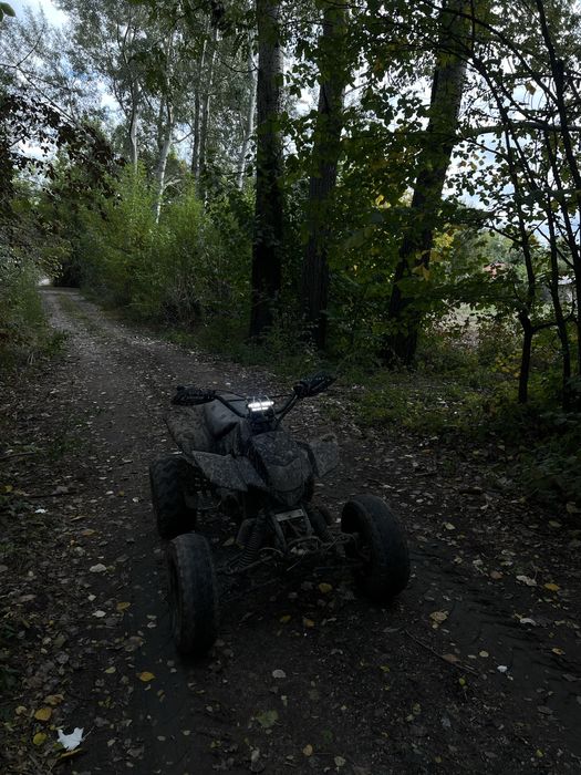 Vand bashan Alaska s 200cc