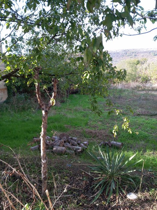 Продава се Къща в Ловеч, Широк център - 60 кв.м за 383 €/кв.м - Снимка #8