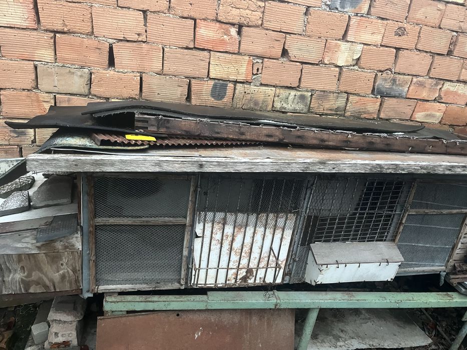 Стабилен зайчарник