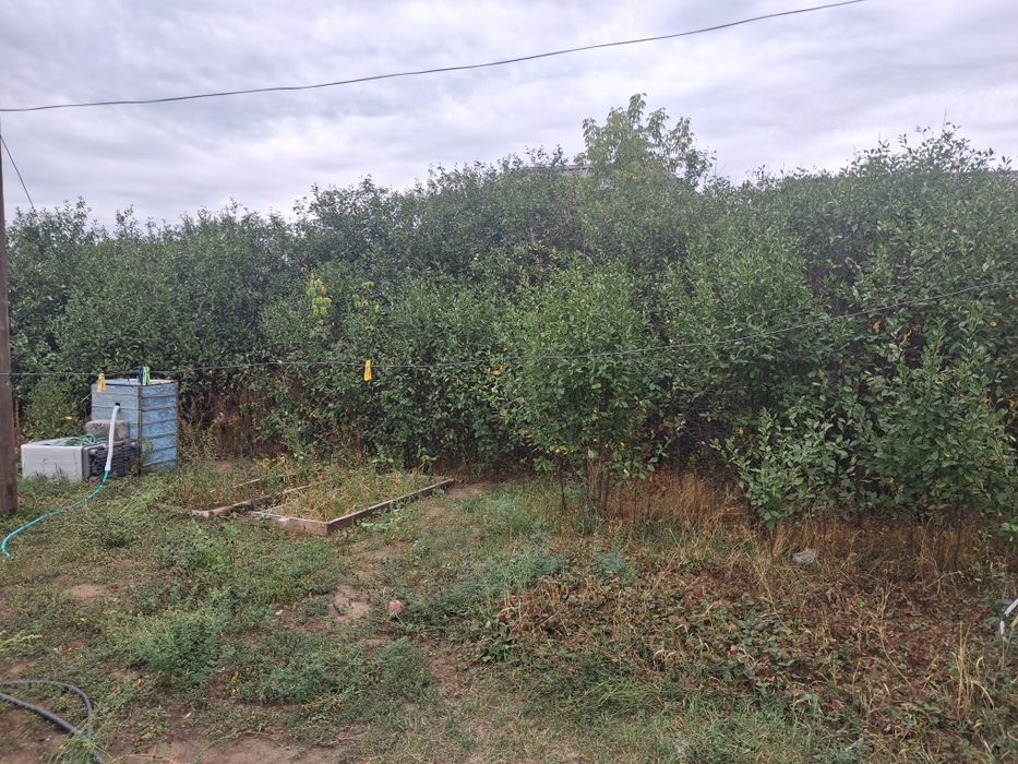Продам дом с большим участком
