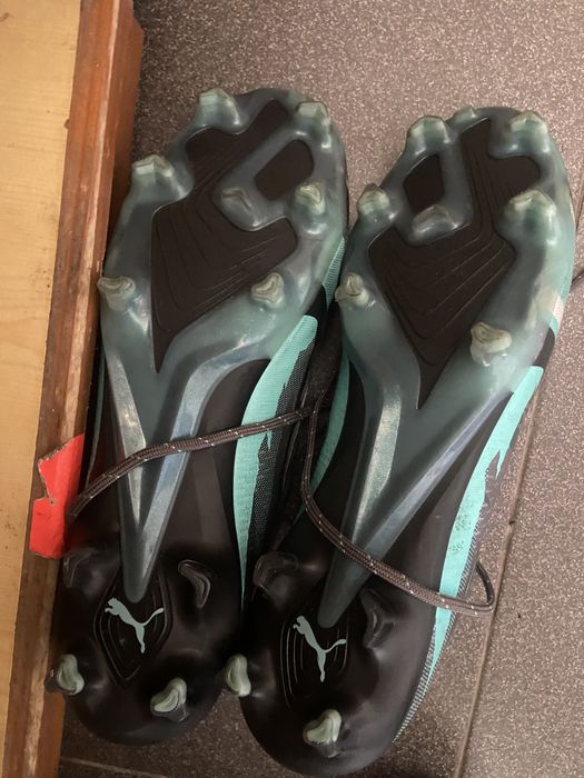 Бутонки на пумаа