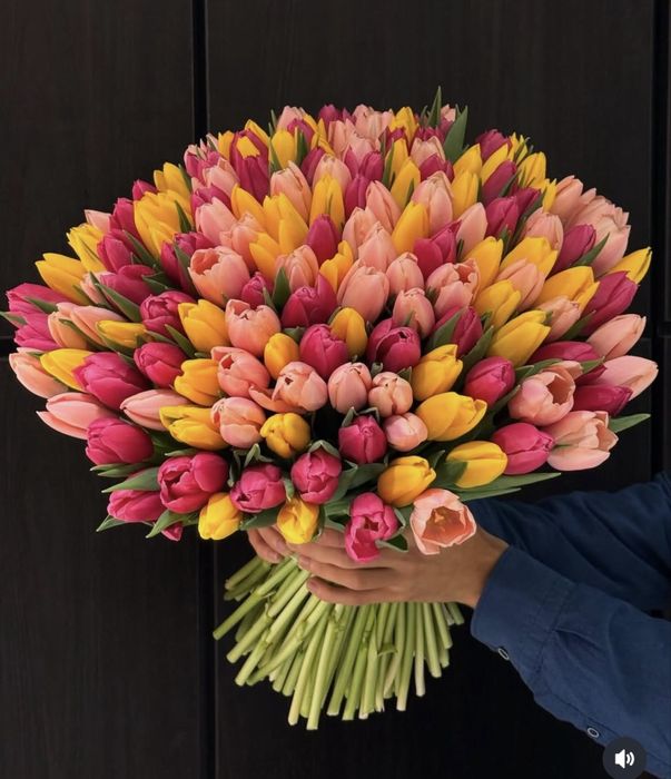 Свежие тюльпаны в наличии! Скидки