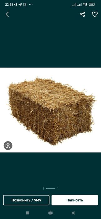 Somon pres,donaga (dastavka adelna) mayda somon