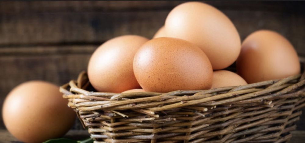 Brama tuxumlari ochirish uchun