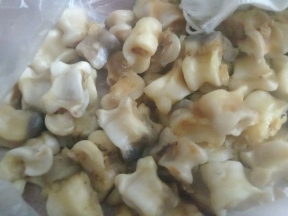 Күшті жақсы адемі