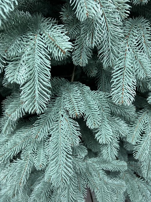 Елки Искуственные Новогодние Литые