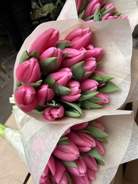 Тюльпаны оптом Беларусь