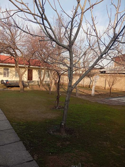 Земля продается Алмазарском районе ор: Гунча