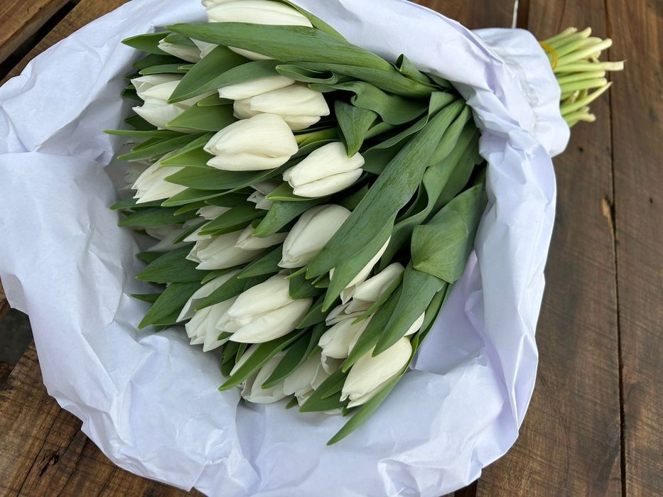 Предзаказ на ТЮЬПАНЫ