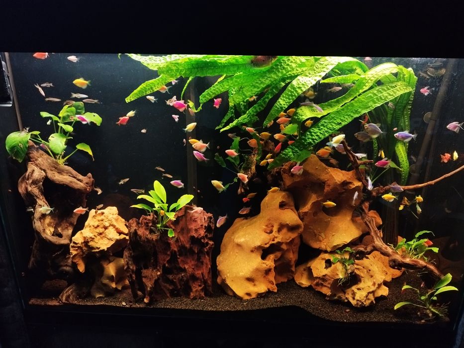 Изработка на Аквариуми (шкафове и капаци)