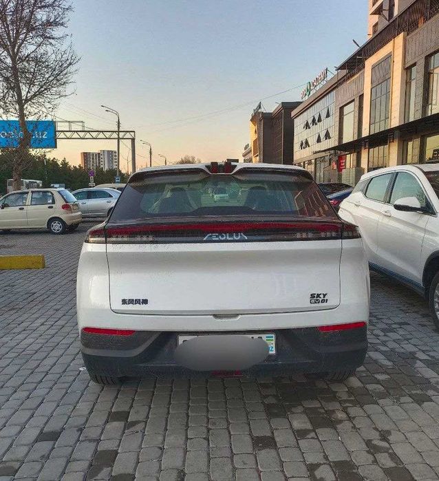 Dongfeng sky EV01 aeolus
