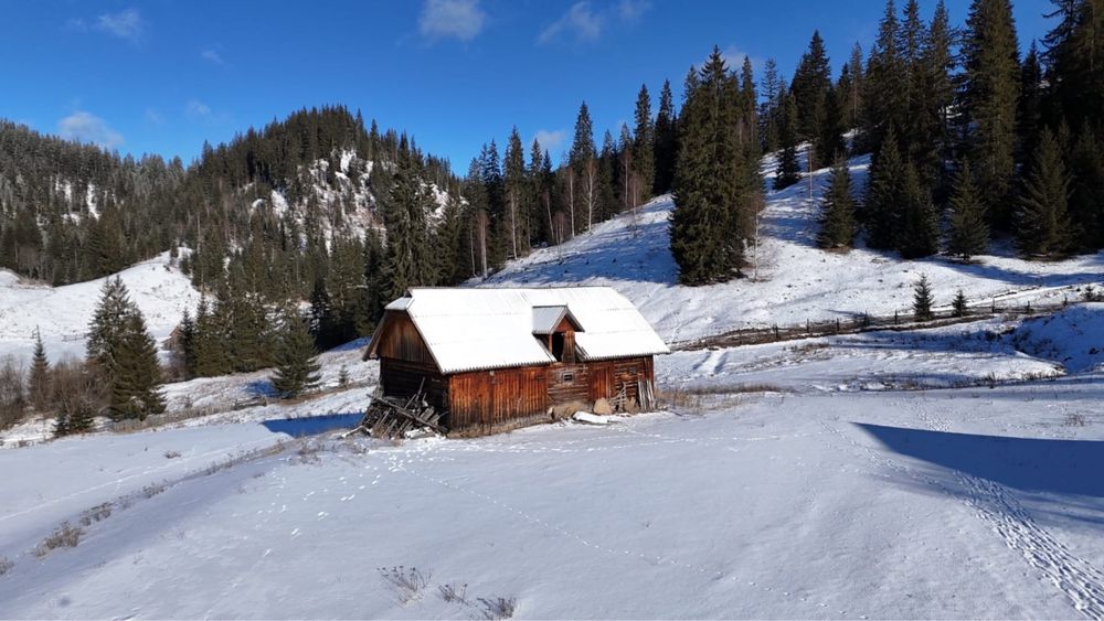 Vand /schimb cu auto doua parcele INTRAVILAN munte Bucovina