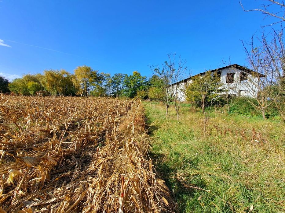 Vând teren intravilan l in suprafața 19000 mp. și hala