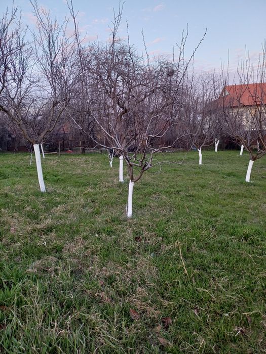 Teren intravilan de vânzare