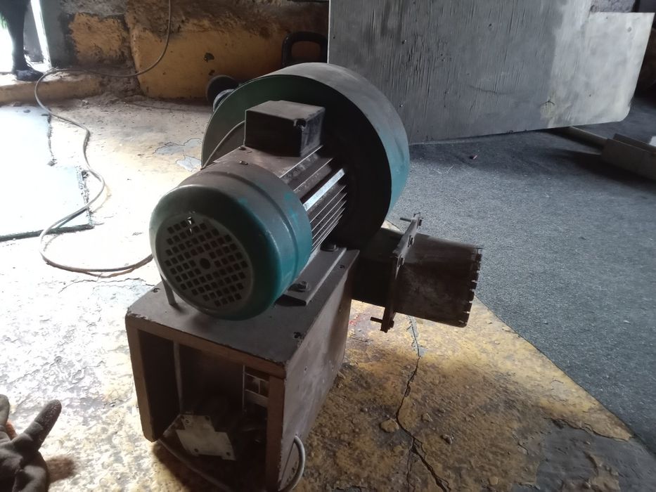 Продаю улитку воздушная