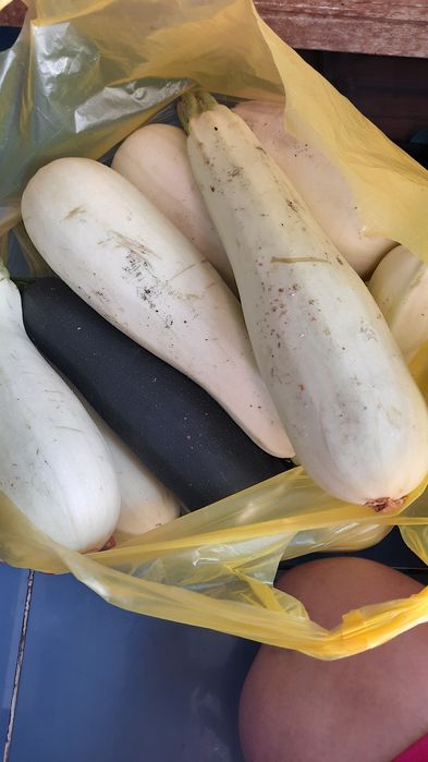 Продам груши, огурцы, кабачки