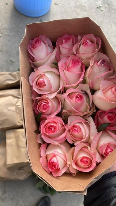 Роза оптом бағада