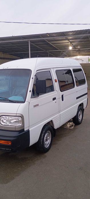 Damas 2009 peshku tumanida