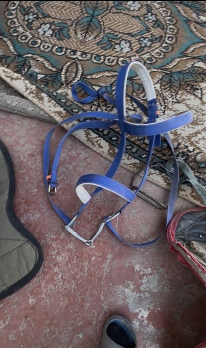 Комплект для лошадя