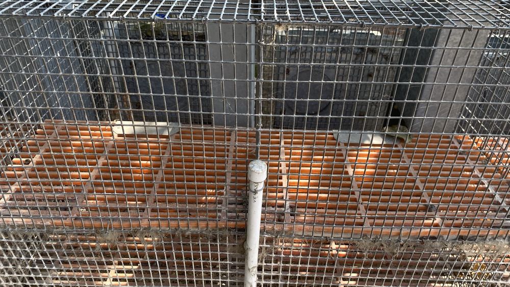 Продаются клетки