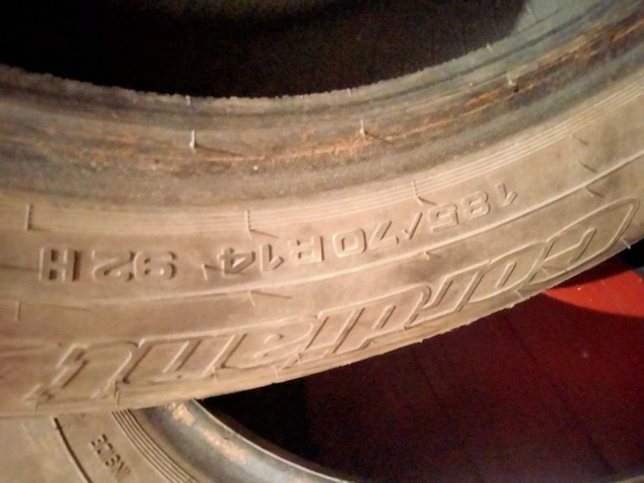 Продам 4 болона в