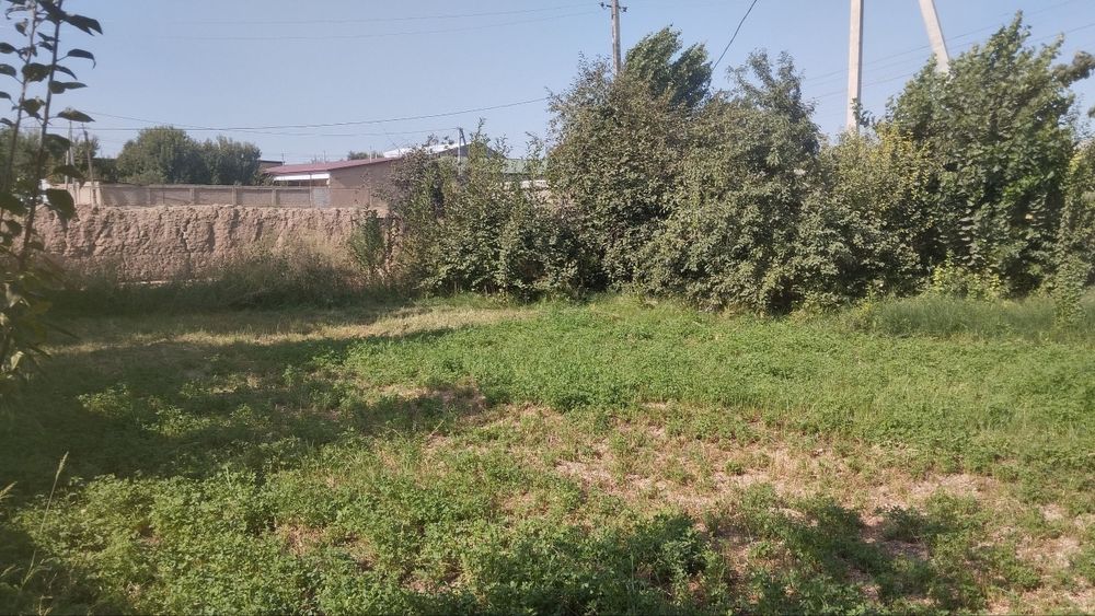 Toshkent tumani Novoyi 6 sotok