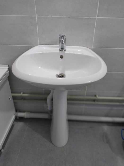 Раковина тюльпан