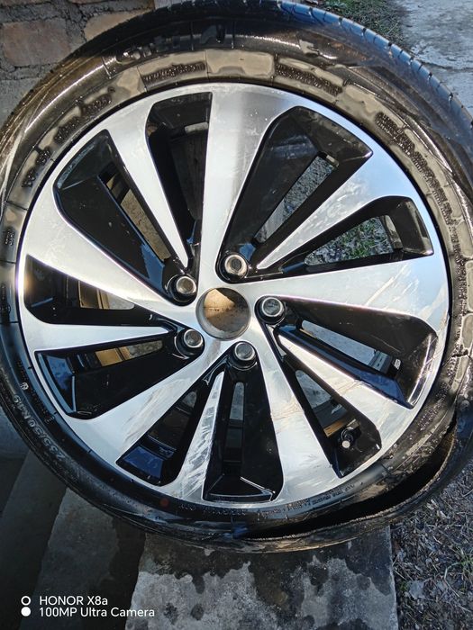 Byd чимпион гибрит дискаси 1 дона