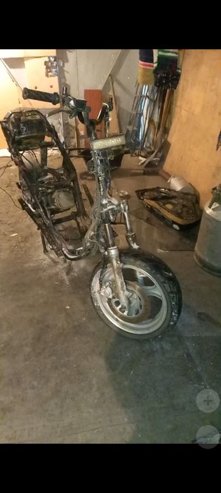 Мопед рейсер стелс обмен на зонда дио