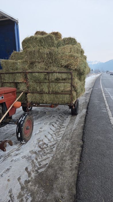 Baloti fan sau lucerna  rotunzi min.40.Drept.500. Tranp.inclus>RO UE
L