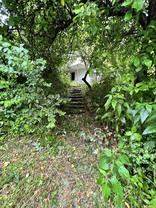 Teren si casa Provita de Jos