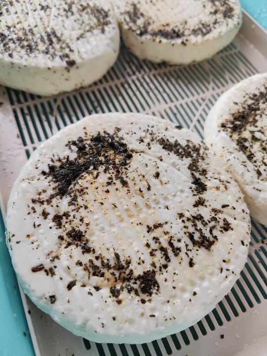 Козий сыр своими руками и молоко