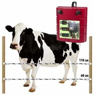 Электропастух ( Электроизгородь) для КРС