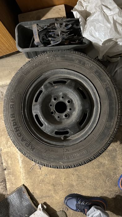 Ризина лета шапы