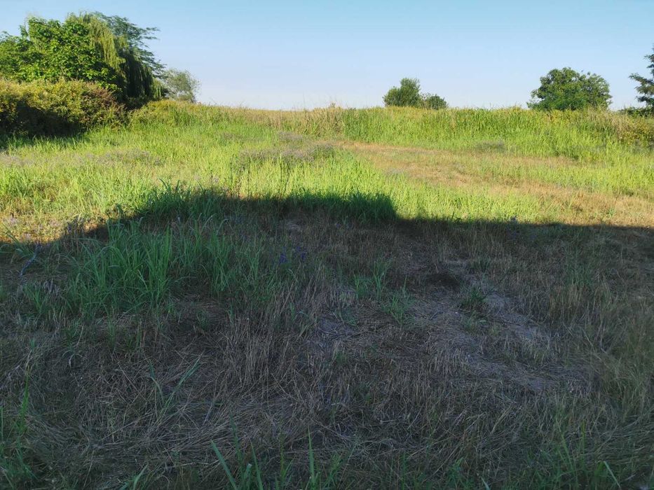 Продава се Парцел в Чирпан - 400 кв.м за 35 €/кв.м - Снимка #4