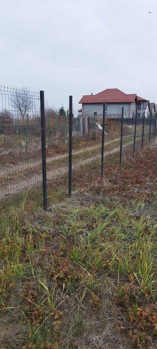 Teren de vânzare Magurele Pruni