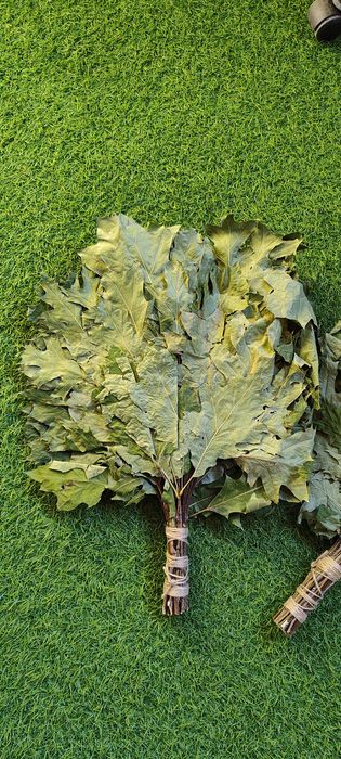 Дъбова метличка (веник) за сауна/баня